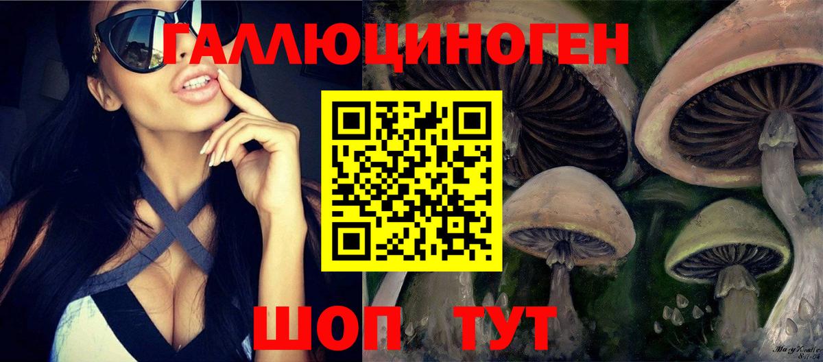 Галлюциногенные грибы GOLDEN TEACHER Шатура